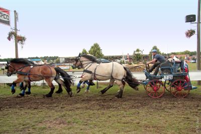 Foto des Albums: Titanen der Rennbahn 2013 (29.06.2013)