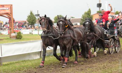 Foto des Albums: Titanen der Rennbahn 2013 (29.06.2013)