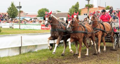 Foto des Albums: Titanen der Rennbahn 2013 (29.06.2013)