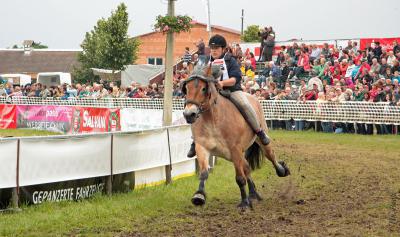 Foto des Albums: Titanen der Rennbahn 2013 (29.06.2013)