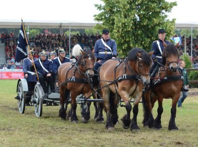 Foto des Albums: Titanen der Rennbahn 2013 (29.06.2013)