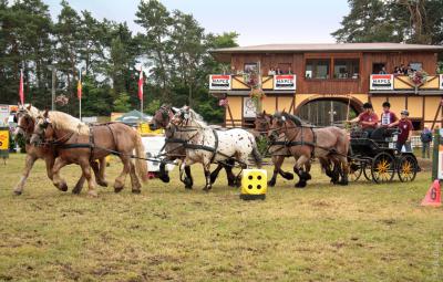 Foto des Albums: Titanen der Rennbahn 2013 (29.06.2013)