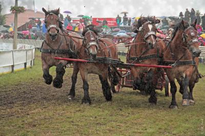 Foto des Albums: Titanen der Rennbahn 2013 (29.06.2013)