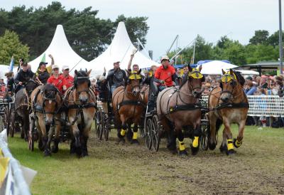 Foto des Albums: Titanen der Rennbahn 2013 (29.06.2013)