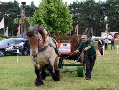 Foto des Albums: Titanen der Rennbahn 2013 (29.06.2013)