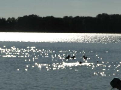 Foto des Albums: Trainingslager in Wandlitz