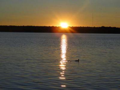 Foto des Albums: Trainingslager in Wandlitz