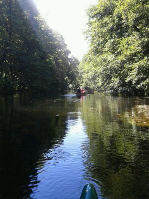 Foto des Albums: Trainingslager in Wandlitz