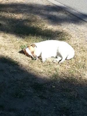 Foto des Albums: Trainingslager in Wandlitz