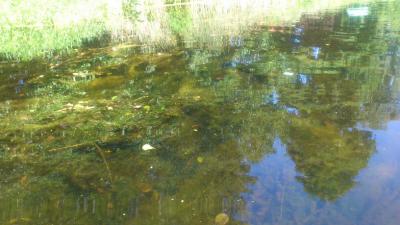 Foto des Albums: Trainingslager in Wandlitz