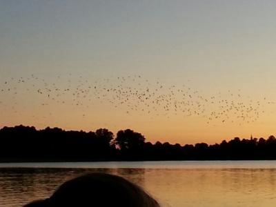 Foto des Albums: Trainingslager in Wandlitz