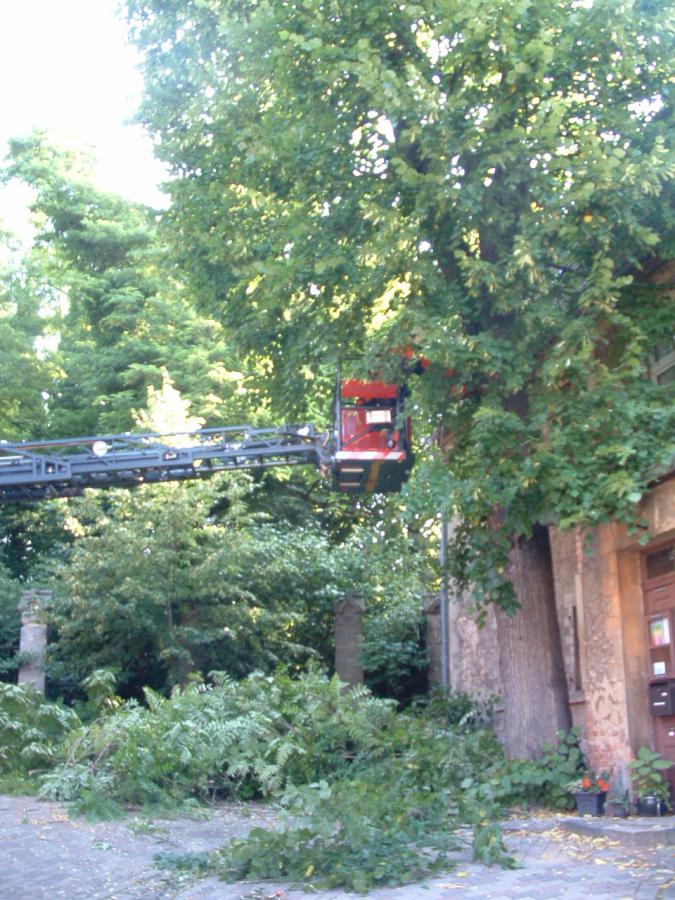 Bild: DLK FFW Egeln