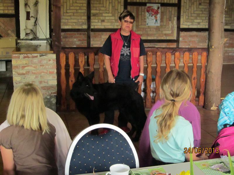 Bild: Der kluge Hund