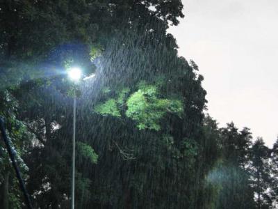 Foto des Albums: 4. Sommercup