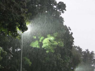 Foto des Albums: 4. Sommercup