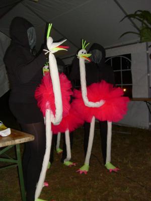 Foto des Albums: Sommerfest in Seefeld