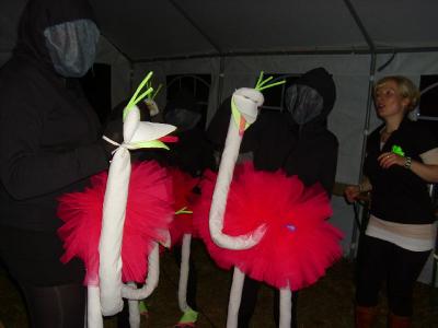 Foto des Albums: Sommerfest in Seefeld