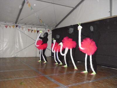 Foto des Albums: Sommerfest in Seefeld