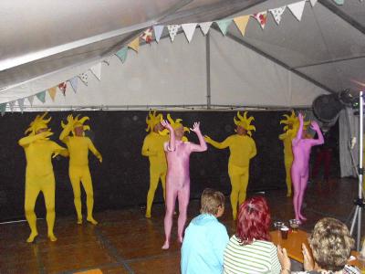 Foto des Albums: Sommerfest in Seefeld