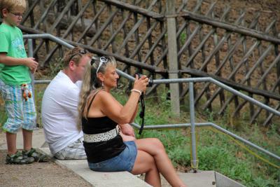 Foto des Albums: Randfichten