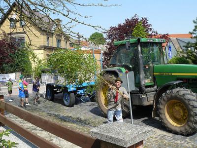 Foto des Albums: Maienaustragen