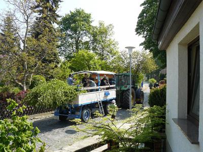Foto des Albums: Maienaustragen