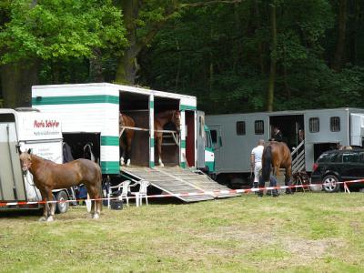 Foto des Albums: Schlossparkturnier in Helmsdorf und Westernreiten in Bösenburg
