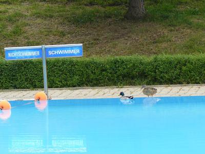 Foto des Albums: Eröffnung der Freibadsaison im Stadtbad Gerbstedt 2011