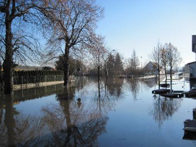Foto des Albums: Hochwasser Friedeburg, 18.01.2011