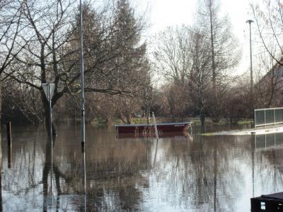 Foto des Albums: Hochwasser Friedeburg, 18.01.2011