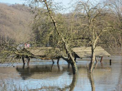 Foto des Albums: Hochwasser Friedeburg, 18.01.2011