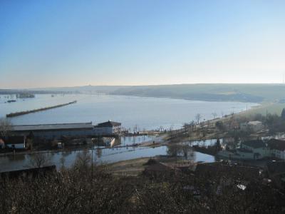 Foto des Albums: Hochwasser Friedeburg, 18.01.2011