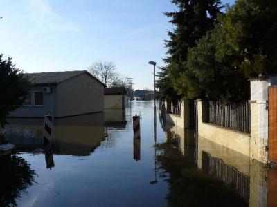 Foto des Albums: Hochwasser Friedeburg, 18.01.2011