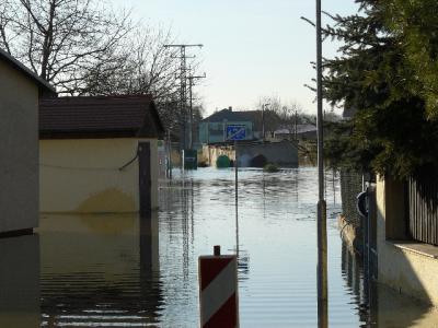 Foto des Albums: Hochwasser Friedeburg, 18.01.2011