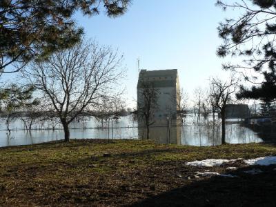 Foto des Albums: Hochwasser Friedeburg, 18.01.2011