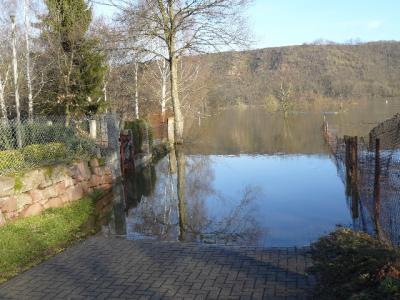 Foto des Albums: Hochwasser Friedeburg, 18.01.2011