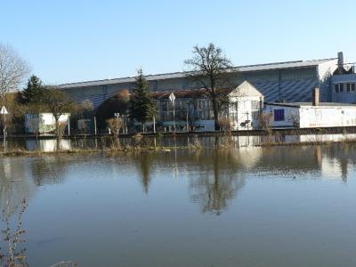 Foto des Albums: Hochwasser Friedeburg, 18.01.2011