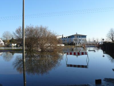 Foto des Albums: Hochwasser Friedeburg, 18.01.2011
