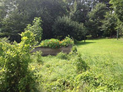 Blick in den Schulgarten  (Bild vergr&ouml;&szlig;ern)