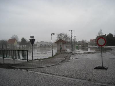 Foto des Albums: Hochwasser Friedeburg, 14.01.2011