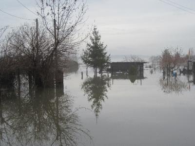 Foto des Albums: Hochwasser Friedeburg, 14.01.2011