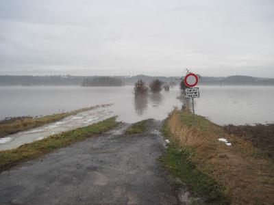 Foto des Albums: Hochwasser Friedeburg, 14.01.2011