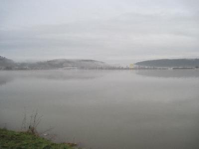 Foto des Albums: Hochwasser Friedeburg, 14.01.2011