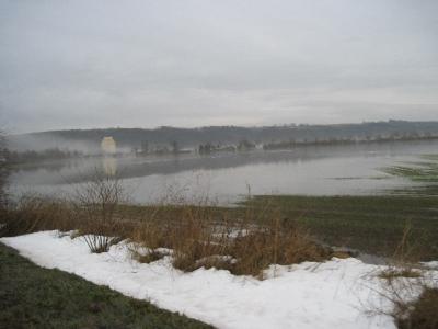 Foto des Albums: Hochwasser Friedeburg, 14.01.2011