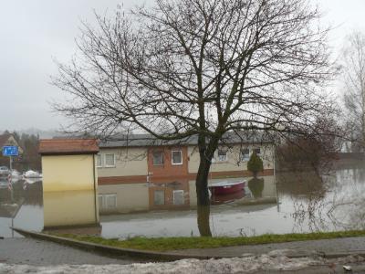 Foto des Albums: Hochwasser Friedeburg, 14.01.2011