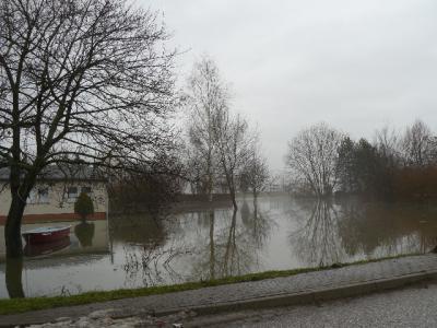 Foto des Albums: Hochwasser Friedeburg, 14.01.2011