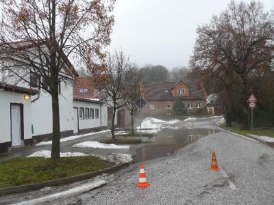 Foto des Albums: Hochwasser Friedeburg, 14.01.2011