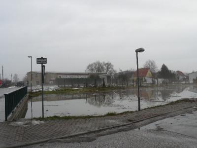 Foto des Albums: Hochwasser Friedeburg, 14.01.2011
