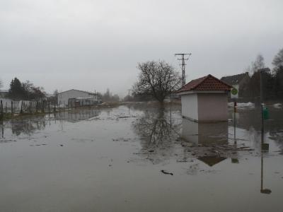 Foto des Albums: Hochwasser Friedeburg, 14.01.2011