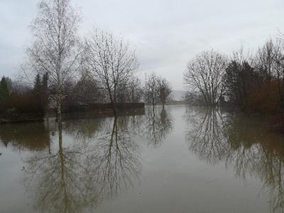 Foto des Albums: Hochwasser Friedeburg, 14.01.2011